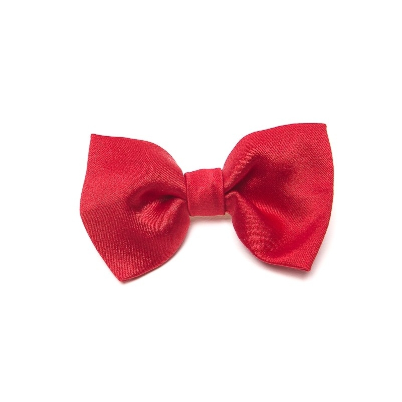 Gift: L. Biagiotti Red Simple Geometric Scarf and silk bow clip