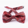 London Paisley 11 cherry silk bow tie