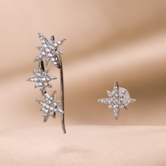 Sterling Silver Earings Frosted Stars