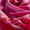 Silk scarf Almost plain red pink