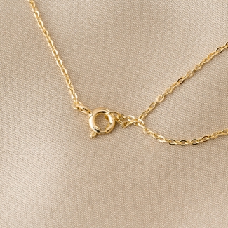 Colier argint Until the Moon & Back gold