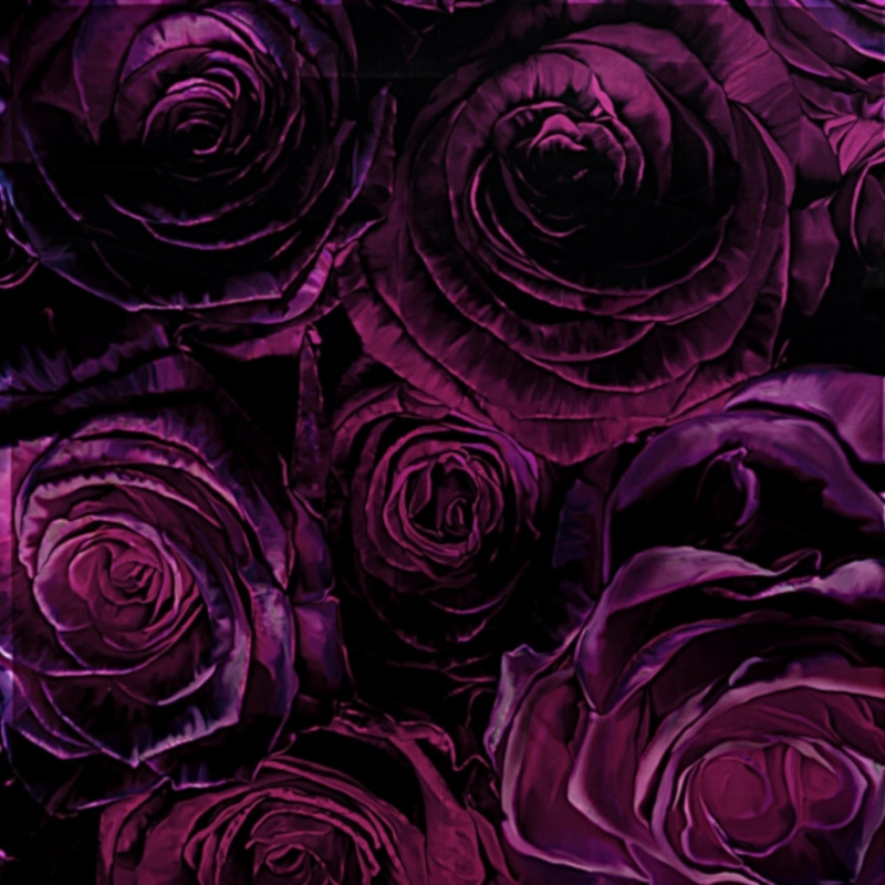 Esarfa matase Crazy Velvet Roses Incredible purple