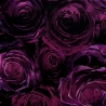 Esarfa matase Crazy Velvet Roses Incredible purple