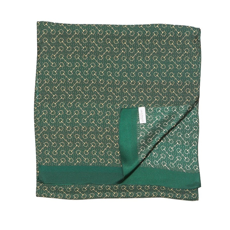Men Scarf Laura Biagiotti green