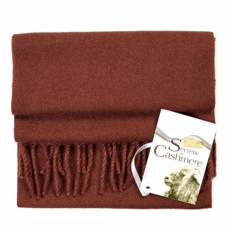 copy of Cashmere foulard Cappuccino