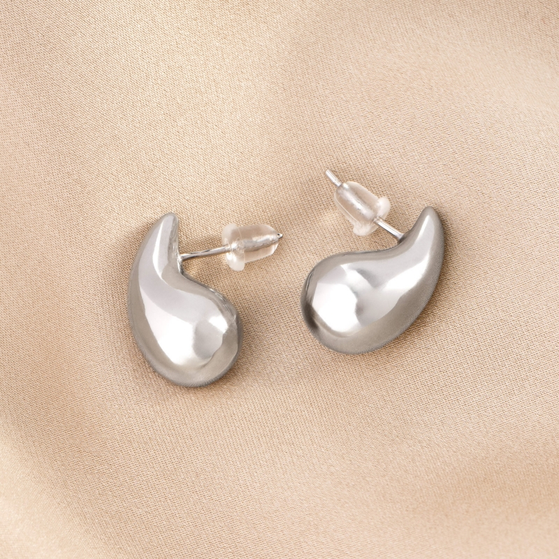 Sterling Silver Earrings Undeniable En Vogue silver