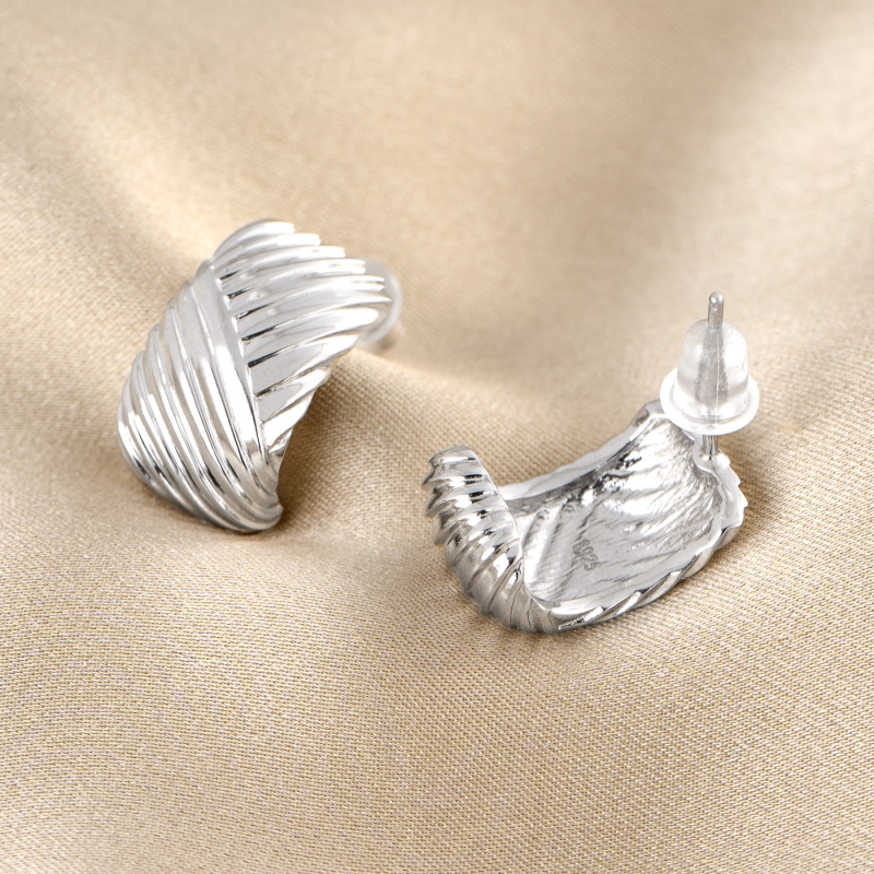 Sterling Silver Earrings Dazzle Glam