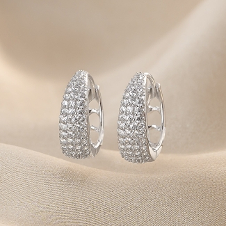 Sterling Silver Earrings Under The Light