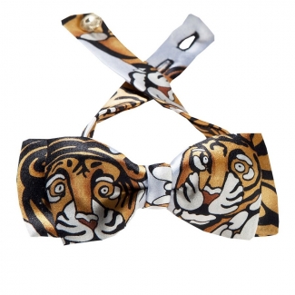 Papion Bengali fond gri