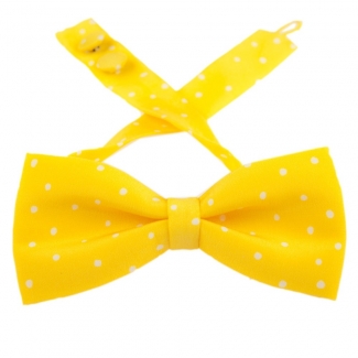 Papion Pretty Woman galben